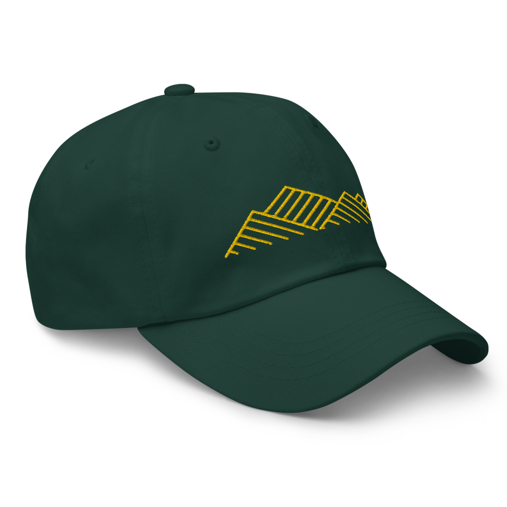 Range Lines - Dad Hat