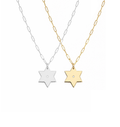 Liz Star of David Paperclip Necklace