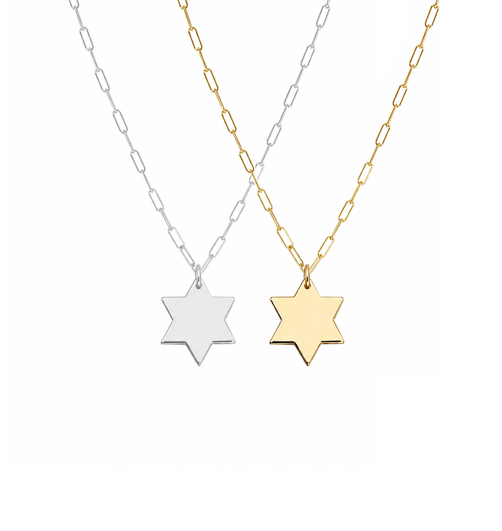 Liz Star of David Paperclip Necklace